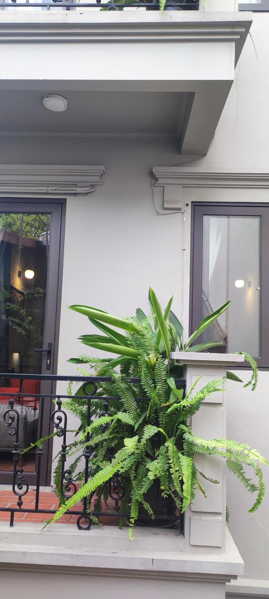 T Home Balcony Homestay Hanoi Eksteriør bilde
